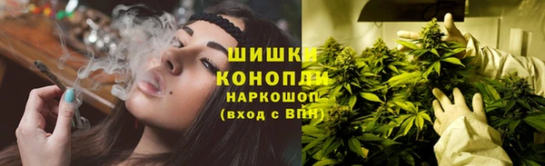 прущие грибы Армянск