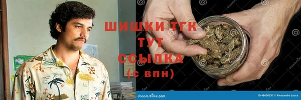 прущие грибы Армянск