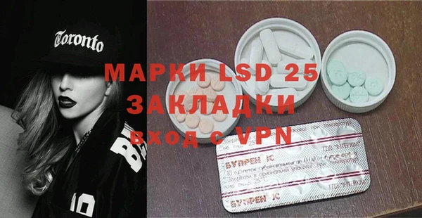 прущие грибы Армянск