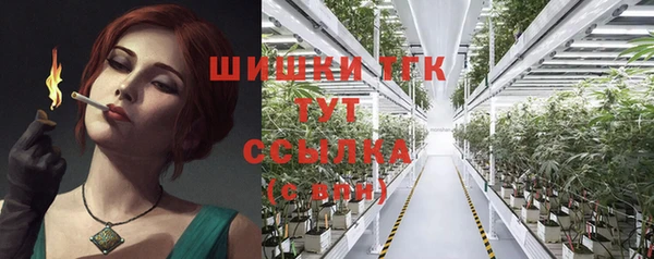 прущие грибы Армянск