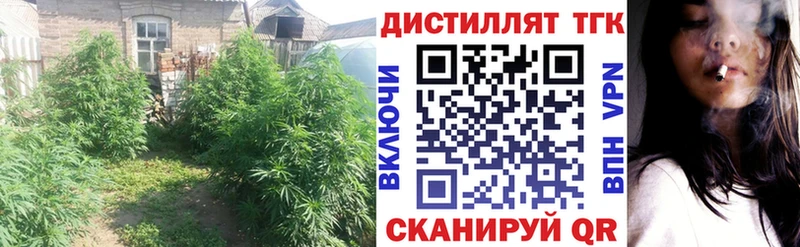 Дистиллят ТГК вейп  купить закладку  Тырныауз 