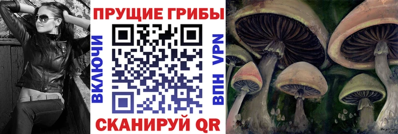 Псилоцибиновые грибы прущие грибы  Тырныауз 