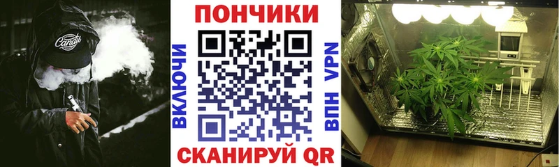 OMG онион  Тырныауз  Конопля VHQ 
